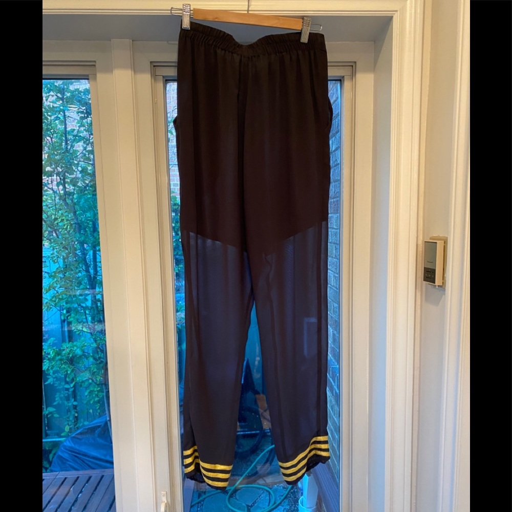 Sheer dress pants